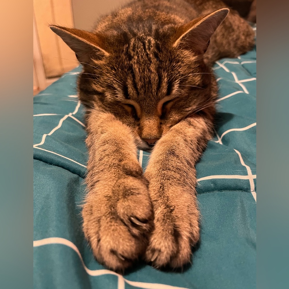 Meet your Posher, Axl